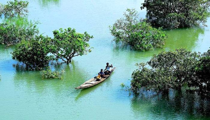 রাতারগুল ভ্রমণে ফি নির্ধারণ