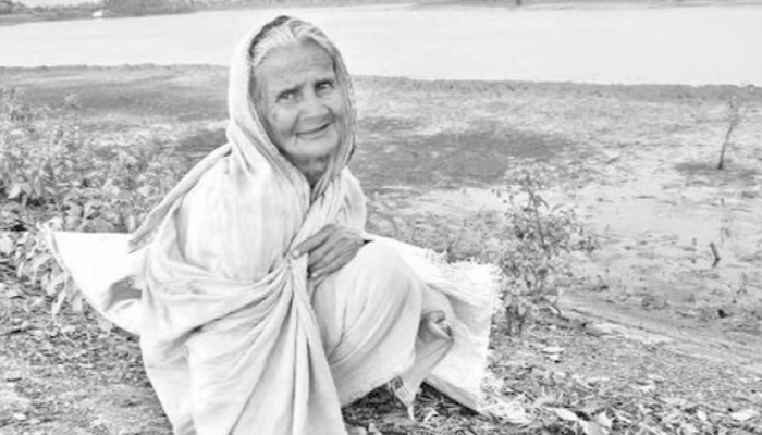 নীলা একজন নন, অনেক