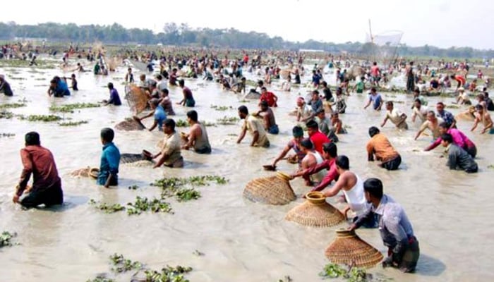 চলনবিলের বাউত উৎসব