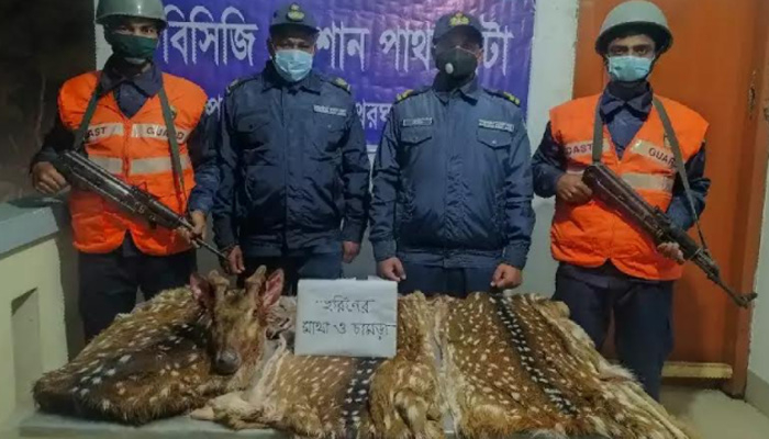 বরগুনা থেকে হরিণের মাথা-চামড়া উদ্ধার