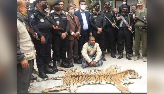 শরণখোলায় বাঘের চামড়াসহ শিকারি আটক