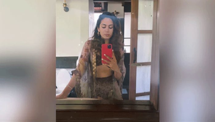 ভিন্নরূপে ধরা দিলেন মীরা রাজপুত