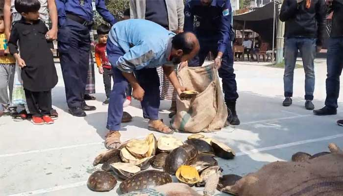 মাগুরায় যাত্রীবাহী বাস থেকে ২০০ কচ্ছপ উদ্ধার