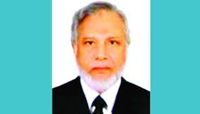 মাতৃভাষা, সংবিধান ও উচ্চ আদালত