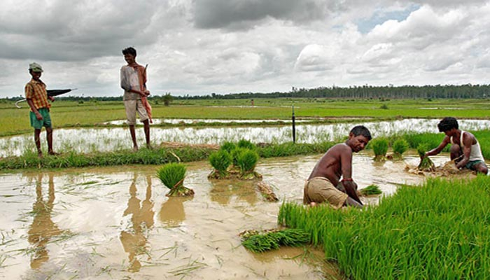 বাংলাদেশ থেকে কৃষি শ্রমিক নিতে আগ্রহী গ্রিস