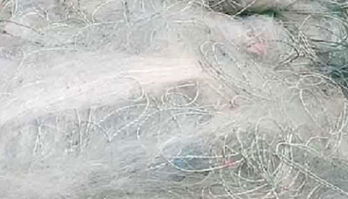 ৬ কোটি ৭৫ লাখ টাকার কারেন্ট জাল জব্দ