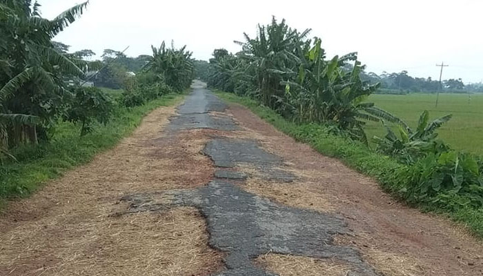 সড়কের বেহাল দশা, ভোগান্তিতে বিলের ৬০ হাজার মানুষ