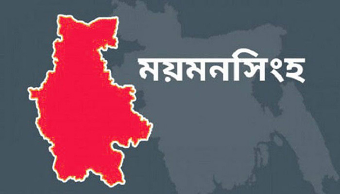 হাঁস নিয়ে ঝগড়া থামাতে গিয়ে প্রাণ গেল একজনের