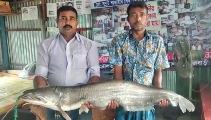 পদ্মায় ধরা পড়ল ১৬ কেজির বোয়াল
