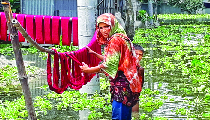 সিরাজগঞ্জে কষ্টে আছেন যমুনা পাড়ের তাঁতিরা
