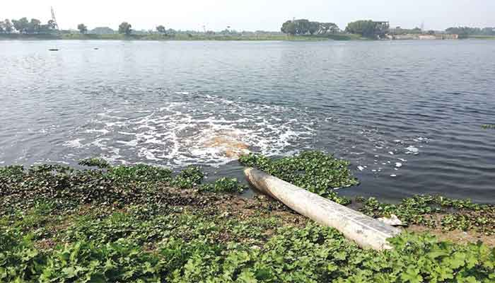 সাভারের ট্যানারি কেন বন্ধ হবে না, ব্যাখ্যা চায় পরিবেশ মন্ত্রণালয়