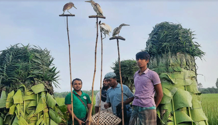 নতুন জীবন পেল অর্ধশত বক