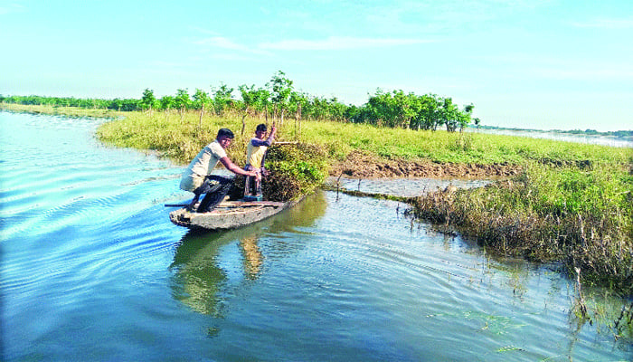 টাঙ্গুয়ার নীরব হাহাকার