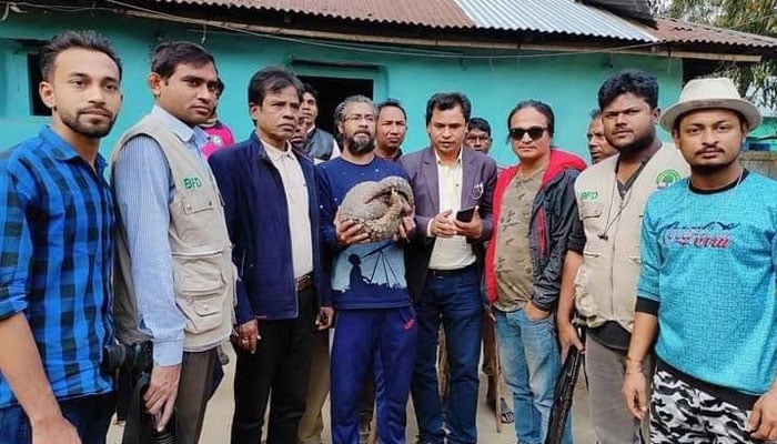 চা বাগান থেকে বিপন্ন প্রাণী বনরুই উদ্ধার
