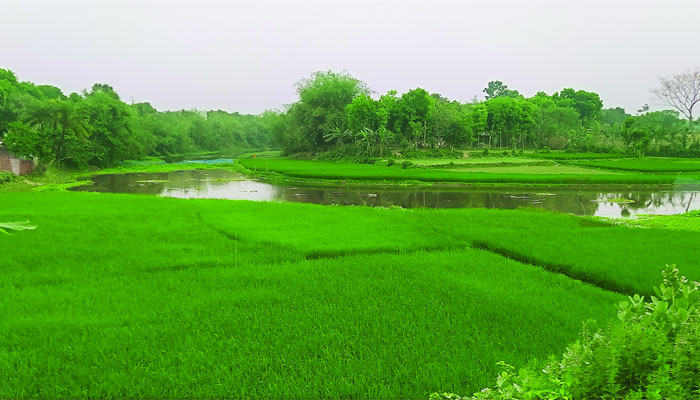 পথে বসবে মৎস্যজীবীরা