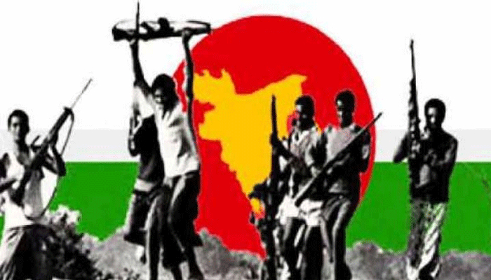 এমপির মায়ের মুক্তিযোদ্ধা ভাতা নিয়েও জালিয়াতি