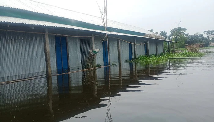 এলাকাজুড়ে দুর্গন্ধ, নিরাপদ পানির অভাবে নানা রোগ