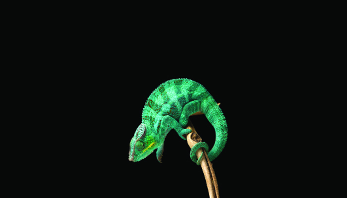 ছদ্মবেশ