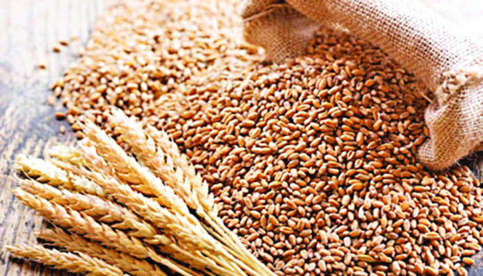 ৮ লাখ টন গম আমদানির পরিকল্পনা সরকারের