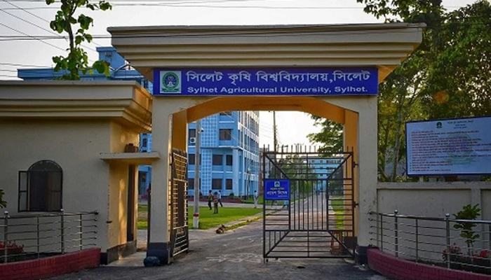 সিলেট কৃষি বিশ্ববিদ্যালয়ে হাঁটু পানি, ক্লাস-পরীক্ষা স্থগিত