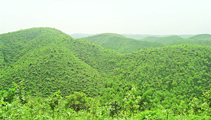 শেরপুরের গারো পাহাড়ে ফের হাতির মরদেহ উদ্ধার