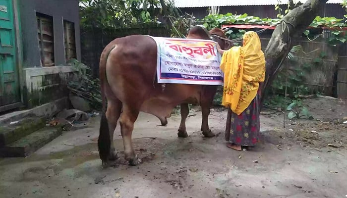 ‘বাহুবলী’র দাম ১২ লাখ টাকা