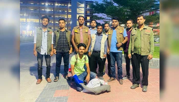 চট্টগ্রামে বিপন্ন প্রজাতির ২ বনরুই উদ্ধার, গ্রেপ্তার ৪