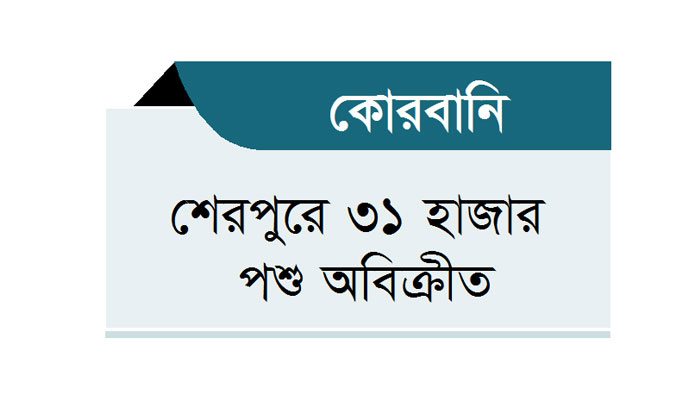খামারির আশার গুড়ে বালি