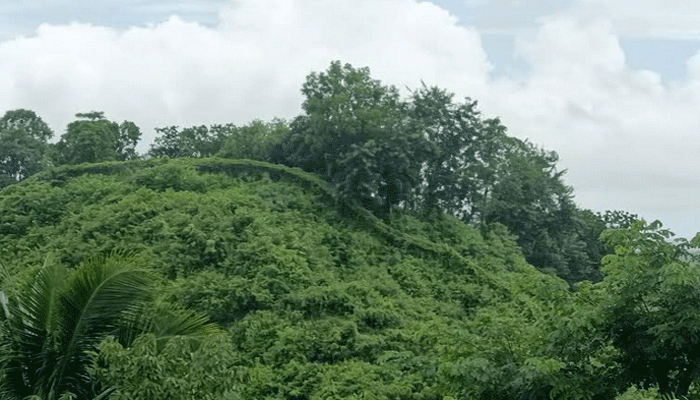 এবার উখিয়া সীমান্তে গোলাগুলি