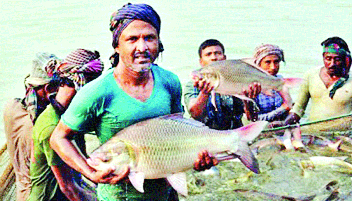 প্রযুক্তির বিকাশে কৃষি খাত