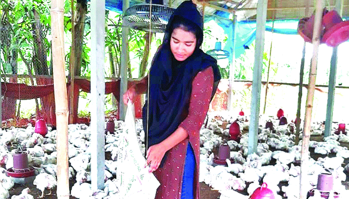 কলেজছাত্রী দিলরুবার খামার