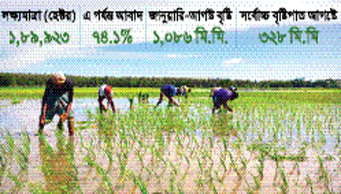 পটুয়াখালীতে রোপা আমন আবাদে ব্যস্ত কৃষক