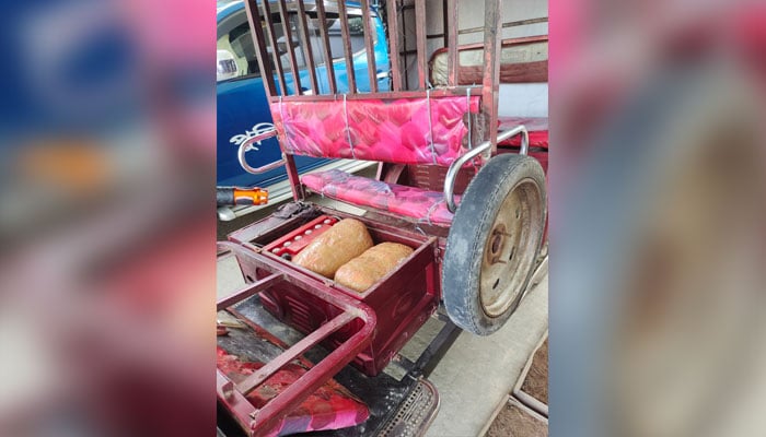 নাগেশ্বরীতে ১৫ কেজি গাঁজাসহ আটক ১