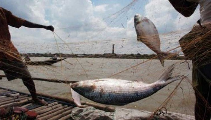 মৎস্য বনাম মৎস্যজীবী
