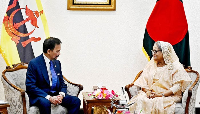ব্রুনাই চায় মাছ-মাংস, বাংলাদেশের চাহিদা জ্বালানি