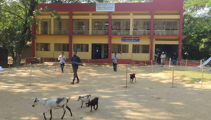 ইভিএমে বিড়ম্বনা কয়েক জায়গায়, ভোটারও কম