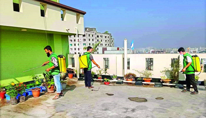 মশায় অতিষ্ঠ নগরবাসী, বেড়েছে ডেঙ্গু
