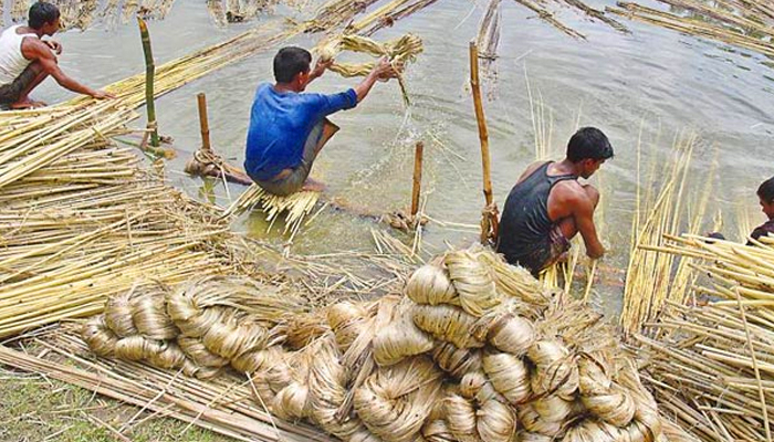 কাঁচা পাট সংগ্রহে উৎসে কর প্রত্যাহার চান মিল মালিকরা