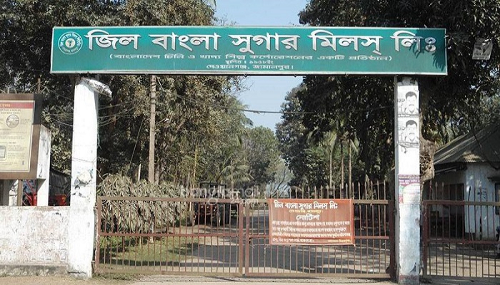 মাঠে আখ রেখেই মৌসুম শেষ, পূরণ হয়নি চিনির লক্ষ্যমাত্রা
