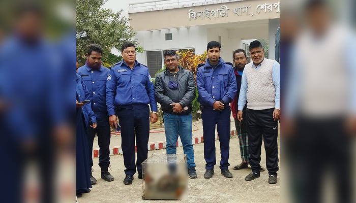 মেছো বাঘের বাচ্চা বসেছিল কাঁঠাল গাছে