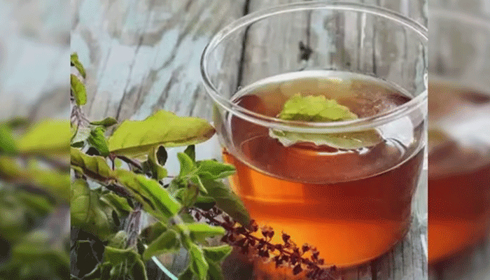 চা খেলে কি কোলেস্টেরল বাড়ে?