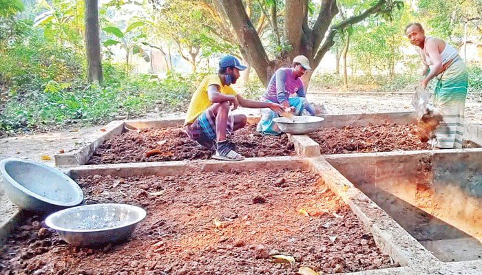 কম্পোস্ট সারে কোটি টাকার স্বপ্ন