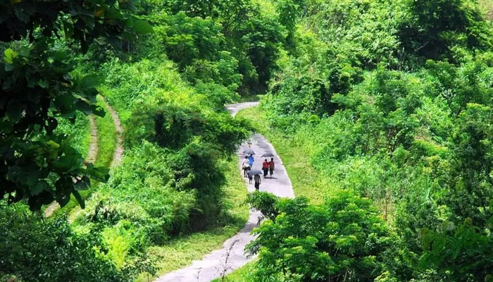 বান্দরবানে দুই মিনি ট্রাক খাদে পড়ে নিহত ৬