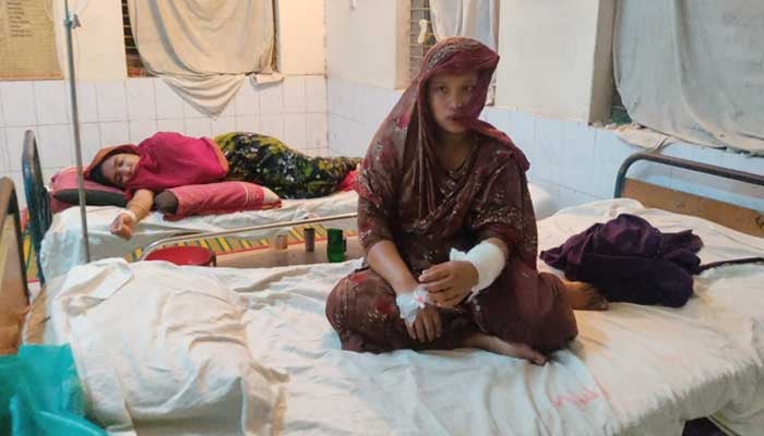 কুকুরের কামড়ে নারী-শিশুসহ একই গ্রামের ৩৫ জন আহত
