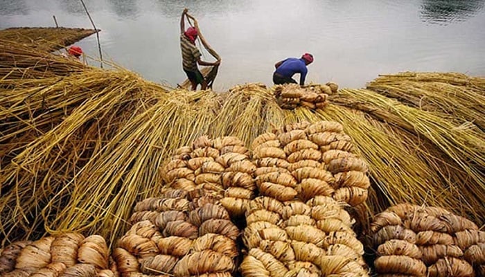 সুদিন আর এলো না