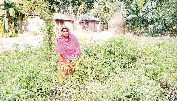 গৃহিণী থেকে সফল  কৃষি উদ্যোক্তা