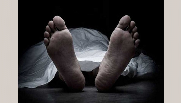 ভাতিজার দায়ের কোপে চাচা নিহত