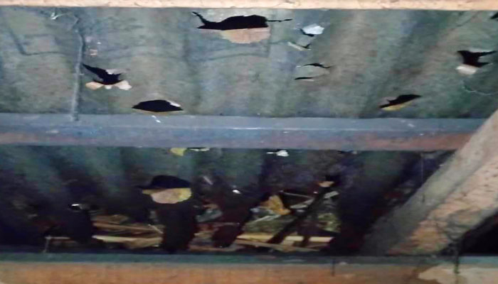 কাঙ্ক্ষিত বৃষ্টিতে ঘরের টিন, ধান ও আমের ক্ষতি