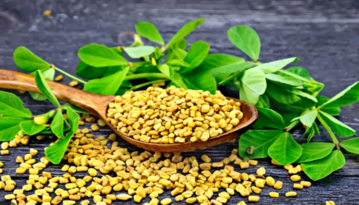 ওজন কমাতে উপকারী ৫ ভেষজ