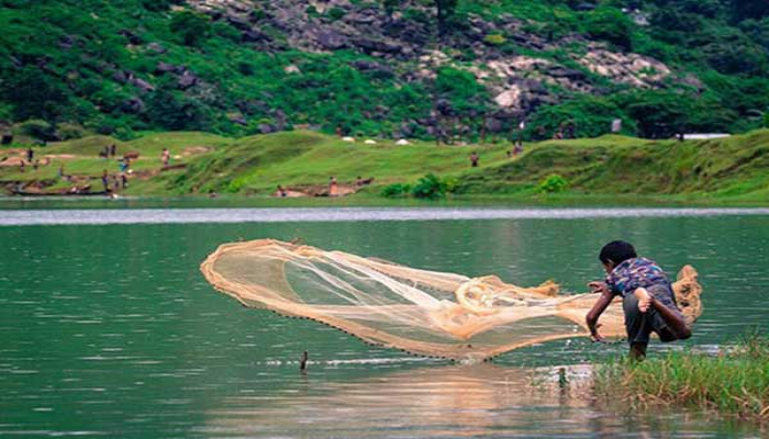মাছের প্রজননে বিরূপ প্রভাব